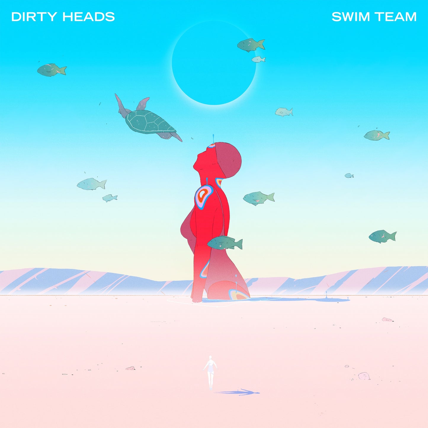Dirty Heads - Swim Team - LP