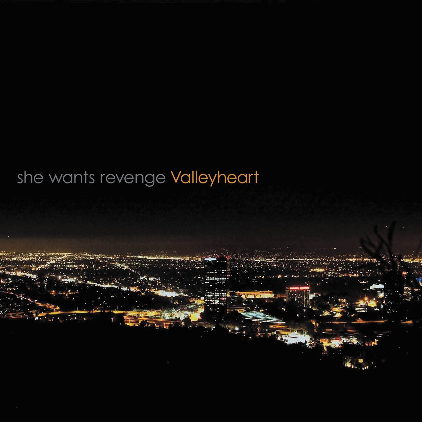 She Wants Revenge - Valleyheart - CD